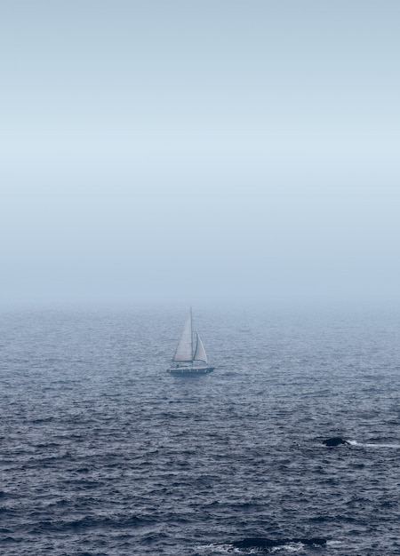 Witte zeilboot op de zee