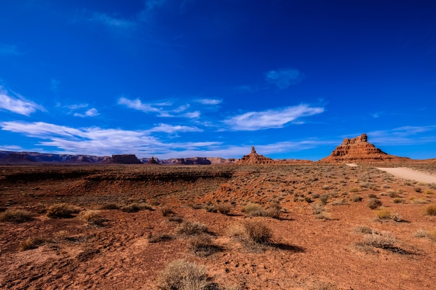 Woestijn met gedroogde struiken in de buurt van een onverharde weg met kliffen in de verte op een zonnige dag
