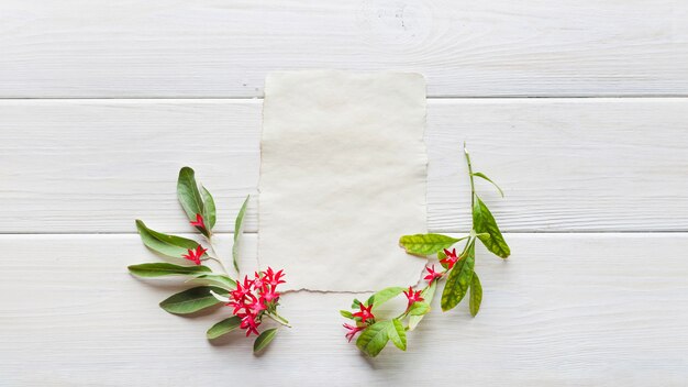 Zachte ordening van bloemen en papier