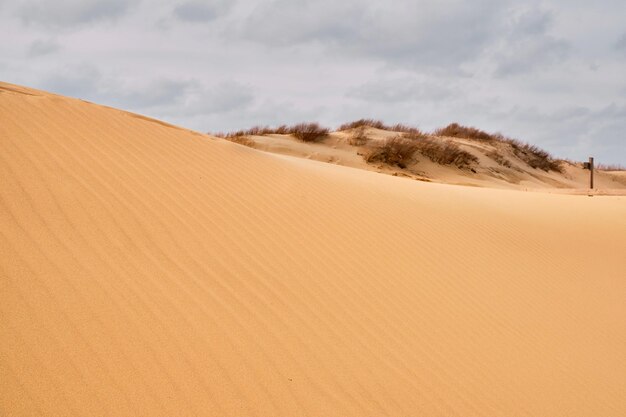 Zandige prachtige duinen met golven op het zand in de open lucht wolken bij bewolkt weer Natuurlijke achtergrond voor zomerontwerp