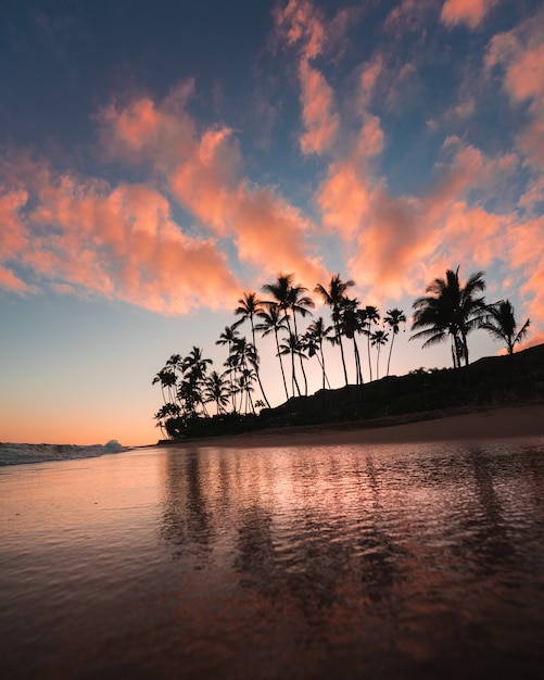 zeegezicht met silhouetten van palmbomen en roze wolken