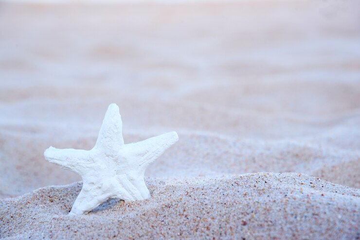 Zeester op het strand
