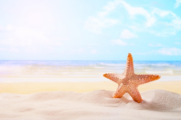 Zeester op zomer zonnig strand op oceaan achtergrond. Reizen, vakantieconcepten.