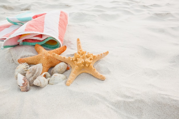 Zeesterren, schelpen en het strand deken op zand