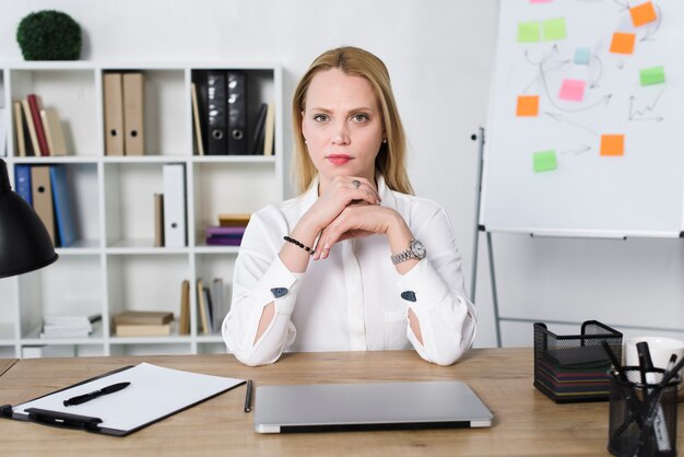 Zekere jonge onderneemster met laptop op lijst in het bureau