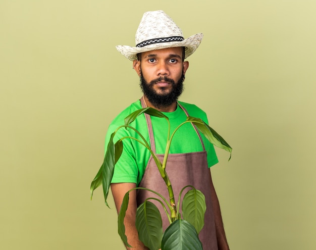 Zelfverzekerde jonge tuinman afro-amerikaanse man met een tuinhoed die plante op een olijfgroene muur vasthoudt