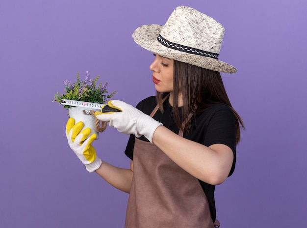 Zelfverzekerde mooie blanke vrouwelijke tuinman met tuinhoed en handschoenen die bloemen in bloempot meten met meetlint geïsoleerd op paarse muur met kopieerruimte