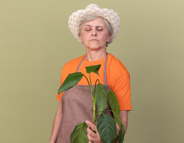Zelfverzekerde oudere vrouwelijke tuinman met tuinhoed en handschoenen die plantentak vasthoudt en bekijkt and
