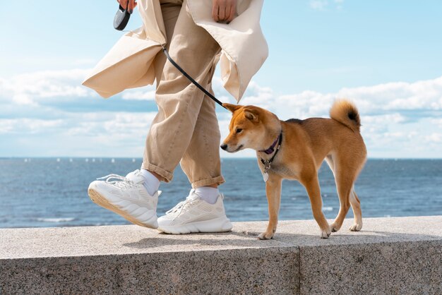 Zijaanzicht eigenaar wandelen met hond