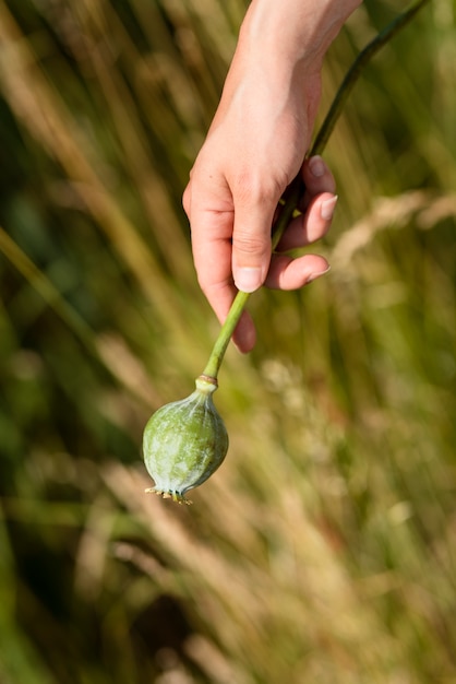 Zijaanzicht hand met bloem