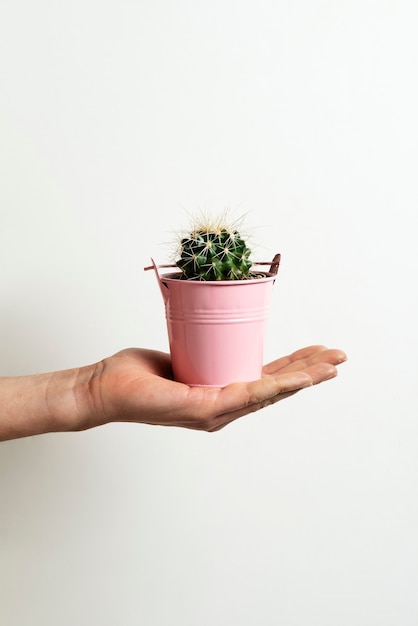 Gratis foto zijaanzicht hand poseren met cactus