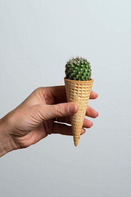 Zijaanzicht hand poseren met cactus