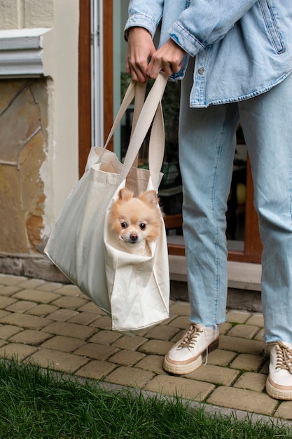 Gratis foto zijaanzicht meisjesdraagtas met hond