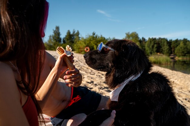 Zijaanzicht mensen met schattige hond op het strand