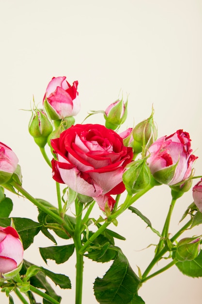 Zijaanzicht van een boeket van kleurrijke rozenbloemen met roze knoppen op witte achtergrond