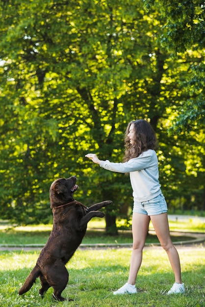 Gratis foto zijaanzicht van een jonge vrouw die met haar hond in park speelt