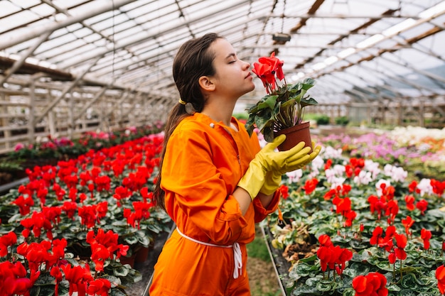 Zijaanzicht van een vrouwelijke tuinman die rode bloem ruikt