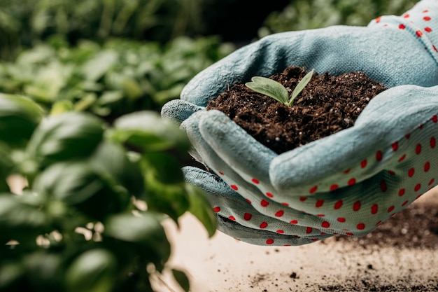 Zijaanzicht van handen met handschoenen die grond en plant houden