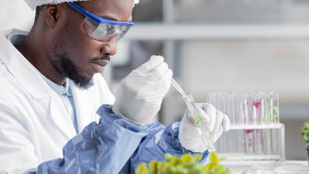 Zijaanzicht van onderzoeker in het laboratorium van de biotechnologie met plant en reageerbuis