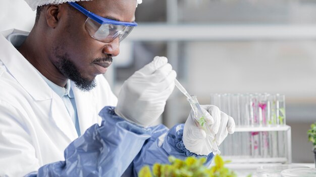 Zijaanzicht van onderzoeker in het laboratorium van de biotechnologie met plant en reageerbuis