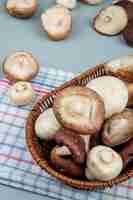 Gratis foto zijaanzicht van verse champignons in een rieten mand op lichtblauw oppervlak