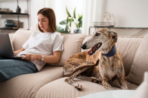 Gratis foto zijaanzicht vrouw en hond op de bank