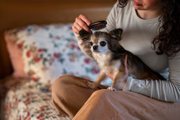 Gratis foto zijaanzichteigenaar die chihuahuahond houdt