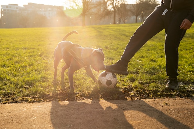 Zijaanzichtmens die met hond in openlucht speelt