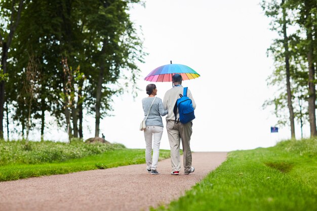 Zomer idylle