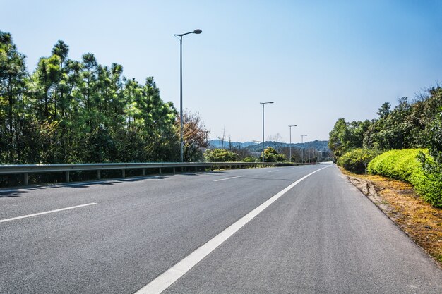 zomer weg naar landschappen toneel bomen