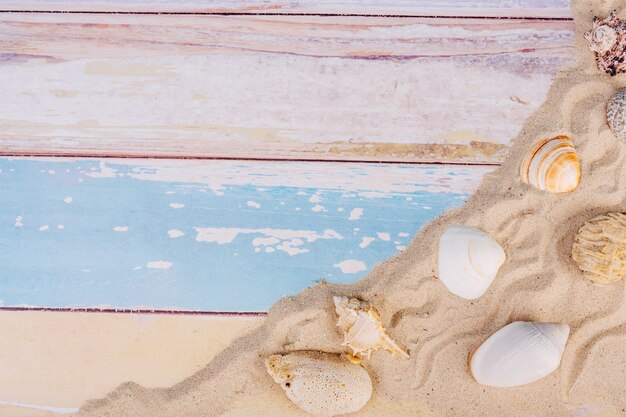 Zomerartikelen, accessoire in vakantieseizoen op gekleurde muur.