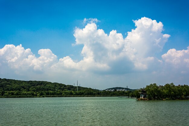 zomerlandschap met meer bij zonnige dag