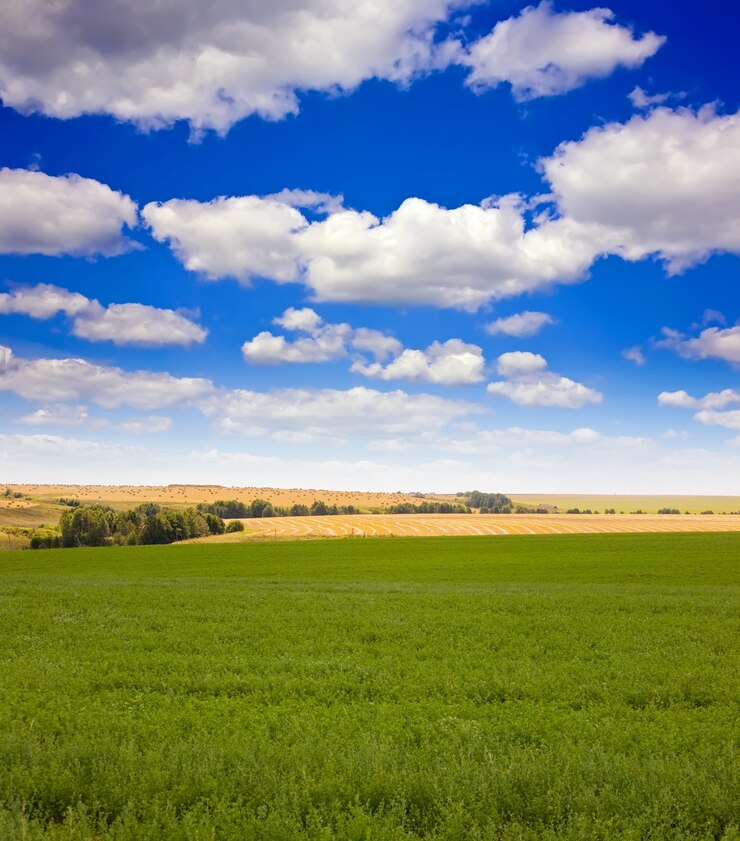 Gratis Foto zomerlandschap