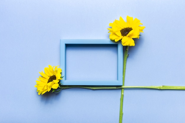 Zonnebloemen en frame