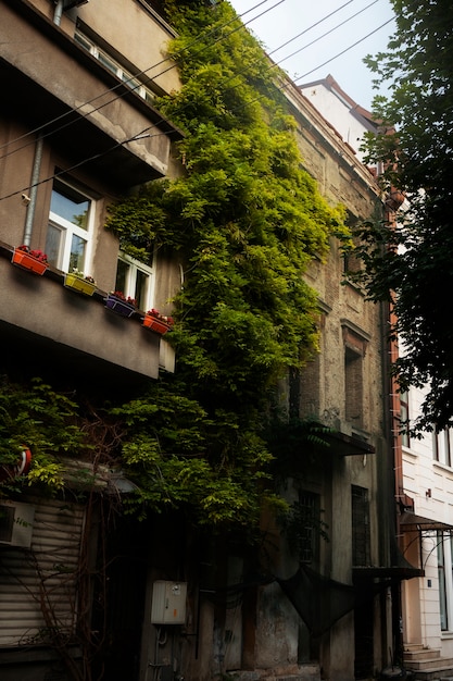 Zonnig stadslandschap