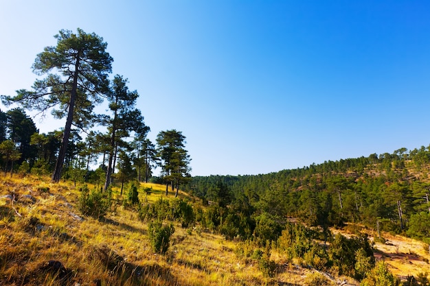 Zonnig uitzicht op Serrania de Cuenca