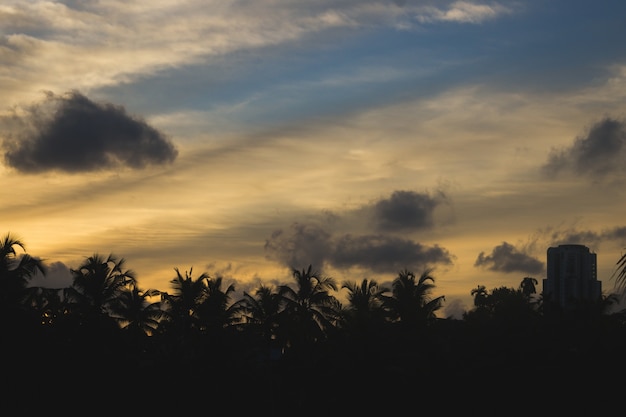 Zonsondergang achter silhouetten van palmbomen en gebouwen