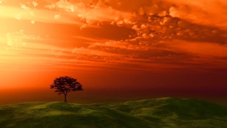 Gratis Foto zonsondergang boom