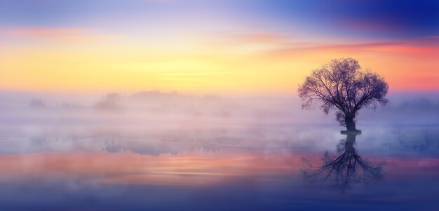 Zonsondergang en mist op het meer
