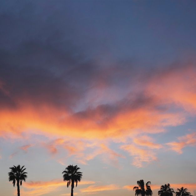 Gratis foto zonsondergang landschap