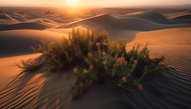 Gratis foto zonsondergang over het dorre afrikaanse landschap een rustige scène van schoonheid gegenereerd door kunstmatige intelligentie