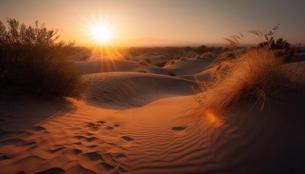 Zonsondergang over het dorre Afrikaanse landschap een rustige scène van schoonheid gegenereerd door kunstmatige intelligentie