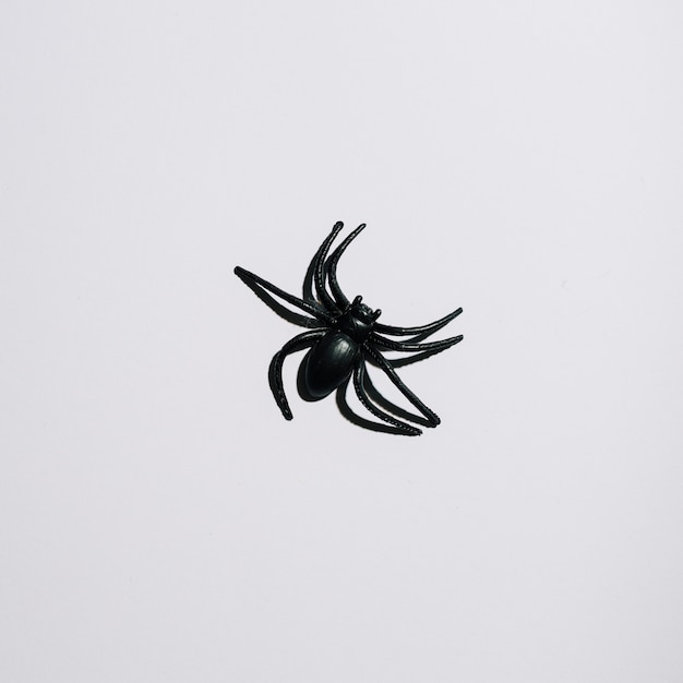 Zwarte spin in het midden gelegd