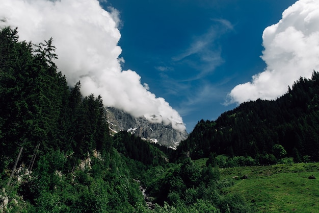 Gratis foto zwitserse alpen bergen. uitzicht op groene bossen en bergen in de wolken