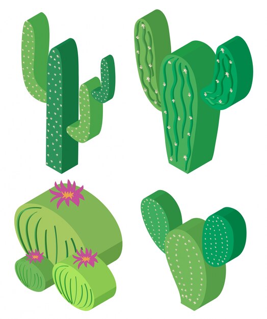 3D-ontwerp voor cactusplanten