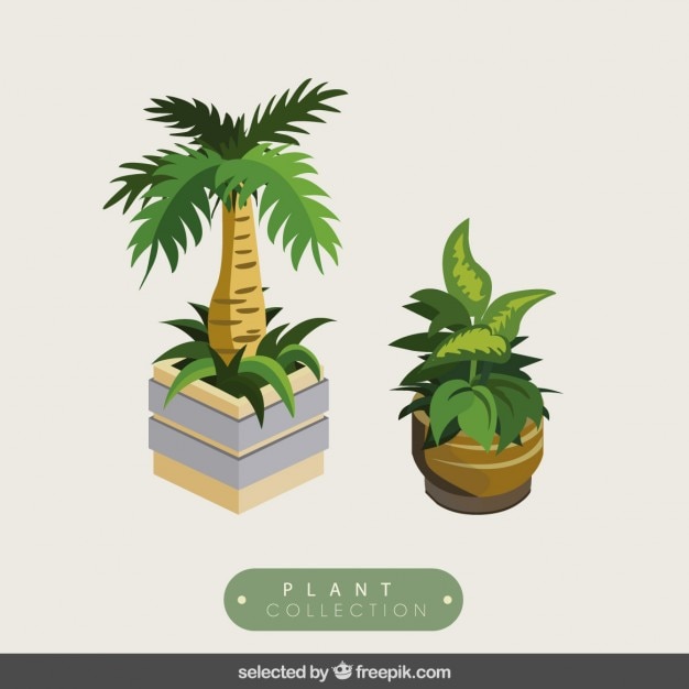 Gratis vector 3d planten pakken