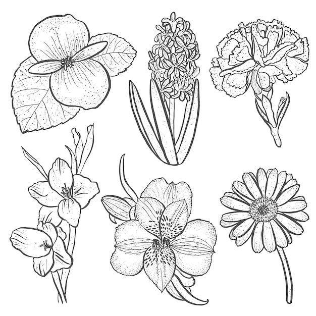 Aantal bloemen alstroemeria, begonia, anjer, gerbera en gladiolen, hyacint in de hand getrokken stijl geïsoleerd