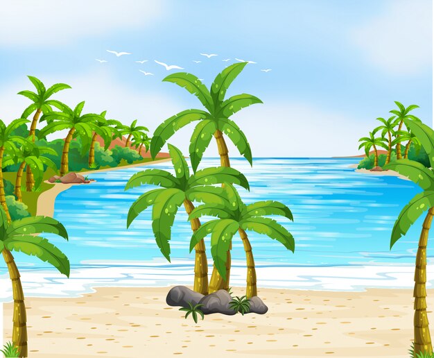 Aardscène met kokospalmen op strand