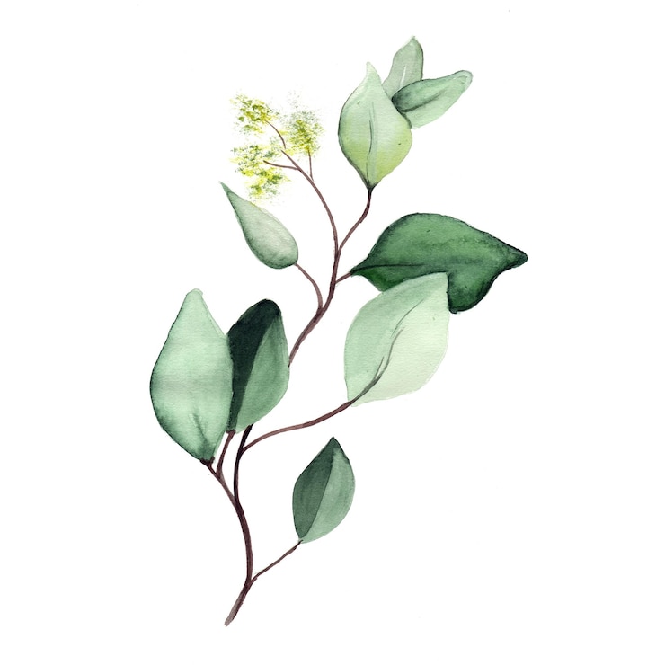Gratis Vector abstract blad element groene aquarel achtergrond illustratie hoge resolutie gratis foto