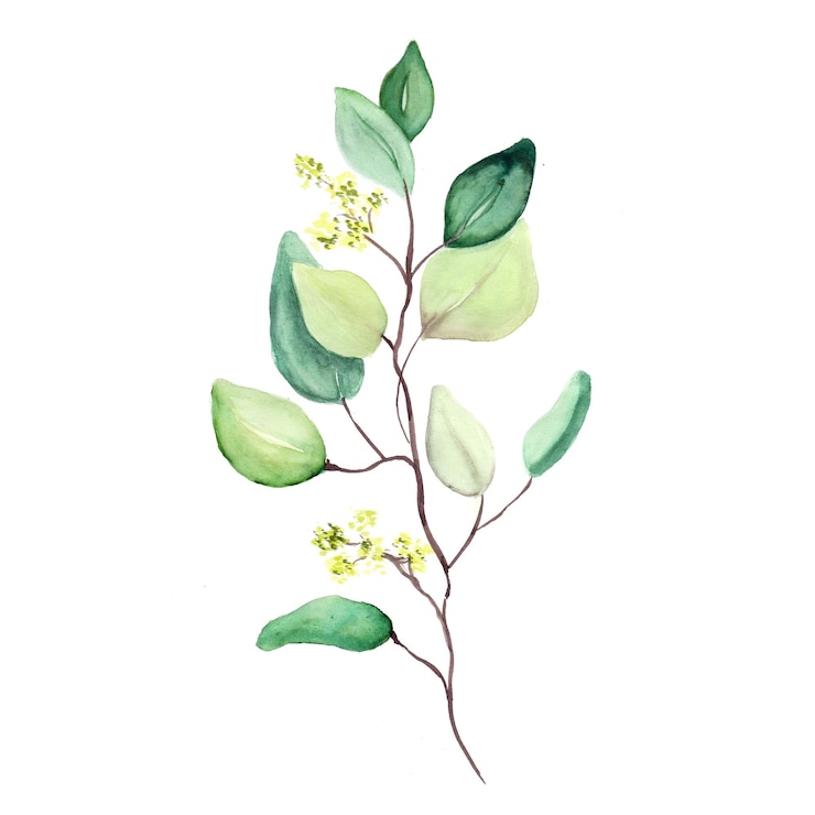 Gratis Vector abstract blad element groene aquarel achtergrond illustratie hoge resolutie gratis foto